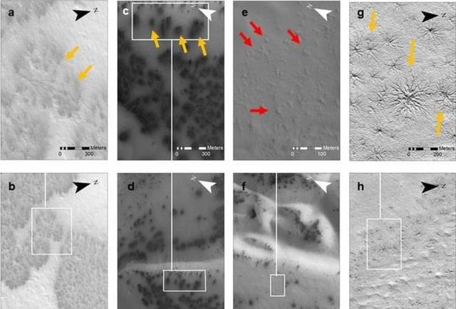 火星照片拍下“灌木丛”？专家称照片是真实的,火星照片拍下“灌木丛”？专家称照片是真实的,第3张