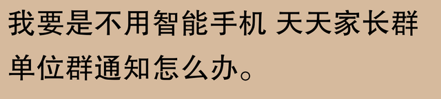 年轻人为何纷纷购买“老人机”？,年轻人为何纷纷购买“老人机”？,第18张