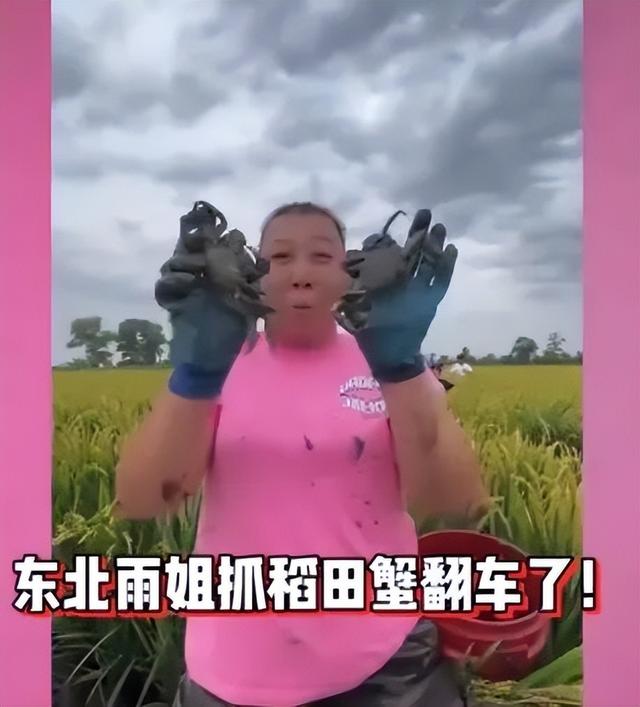 这一次，抖音对李子柒出手了,这一次，抖音对李子柒出手了,第3张