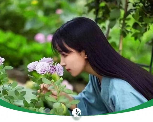 这一次，抖音对李子柒出手了,这一次，抖音对李子柒出手了,第1张