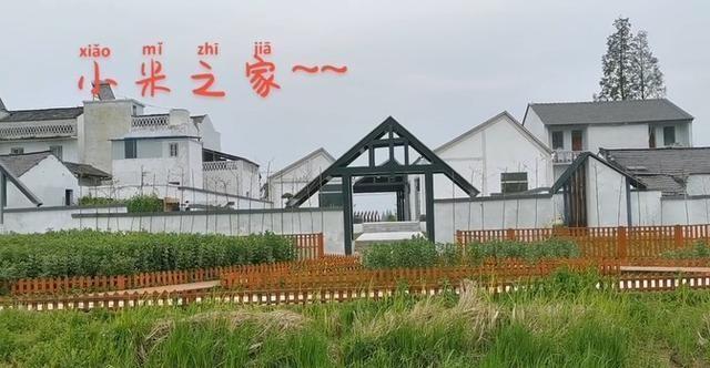 雷军背景之谜，父亲曾是小学教师后去教育局工作，去世后不修祖坟,雷军背景之谜，父亲曾是小学教师后去教育局工作，去世后不修祖坟,第4张