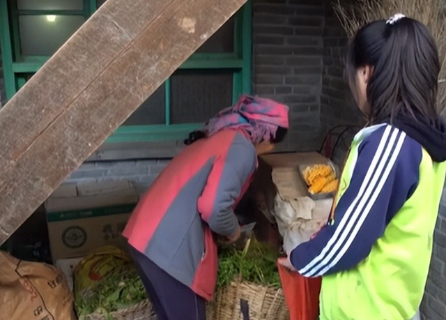 为了凑钱上学，甘肃农村女孩给马云寄母鸡，惨遭拒绝后竟一哭成名,为了凑钱上学，甘肃农村女孩给马云寄母鸡，惨遭拒绝后竟一哭成名,第8张