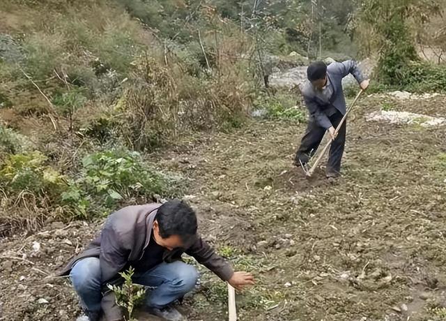 为了凑钱上学，甘肃农村女孩给马云寄母鸡，惨遭拒绝后竟一哭成名,为了凑钱上学，甘肃农村女孩给马云寄母鸡，惨遭拒绝后竟一哭成名,第19张