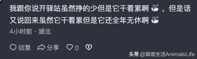 快递驿站为什么那么多转让？老板：干啥都比这强，再也不受窝囊气,快递驿站为什么那么多转让？老板：干啥都比这强，再也不受窝囊气,第8张