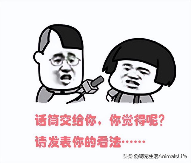 快递驿站为什么那么多转让？老板：干啥都比这强，再也不受窝囊气,快递驿站为什么那么多转让？老板：干啥都比这强，再也不受窝囊气,第13张