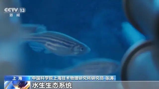 中国空间站完成一项不可能的实验！神舟十九号返航时间确定,中国空间站完成一项不可能的实验！神舟十九号返航时间确定,第4张