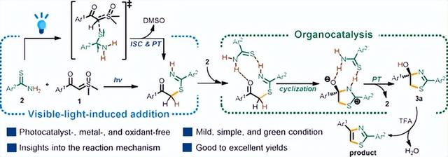 Organic Letters期刊最新动态,Organic Letters期刊最新动态,第3张