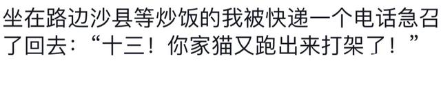 原来快递员才是最强情报网，小区秘密的掌控者！太刺激了,原来快递员才是最强情报网，小区秘密的掌控者！太刺激了,第11张