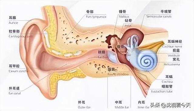 那些常年戴耳机的人，后来怎么样了？真的会变聋吗？,那些常年戴耳机的人，后来怎么样了？真的会变聋吗？,第10张