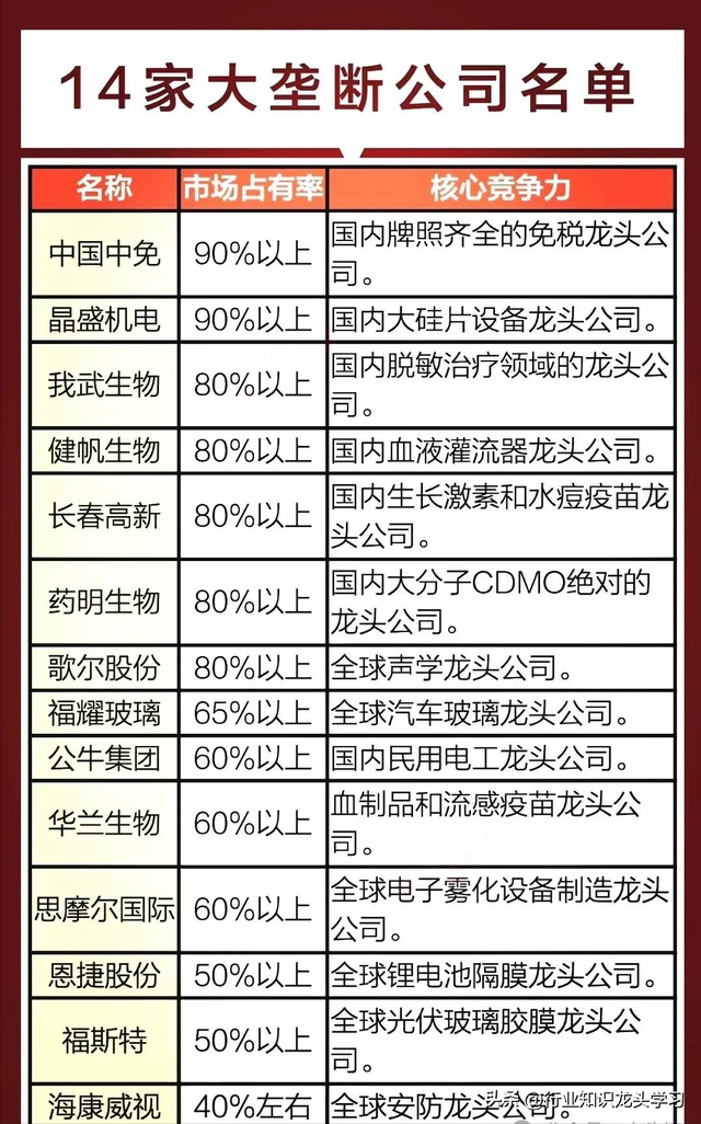 超有价值：龙头企业+半导体+全球第一+存储芯片+服务器+AI+新能源,超有价值：龙头企业+半导体+全球第一+存储芯片+服务器+AI+新能源,第9张