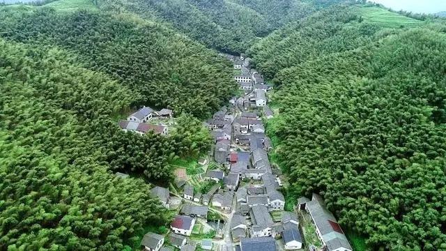 刘强东发钱网友反应，有人想嫁过去，有人差三天不到六十没领到钱,刘强东发钱网友反应，有人想嫁过去，有人差三天不到六十没领到钱,第9张