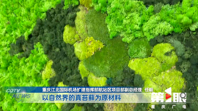 投用在即！T3B航站楼的模样越来越清晰~,投用在即！T3B航站楼的模样越来越清晰~,第7张