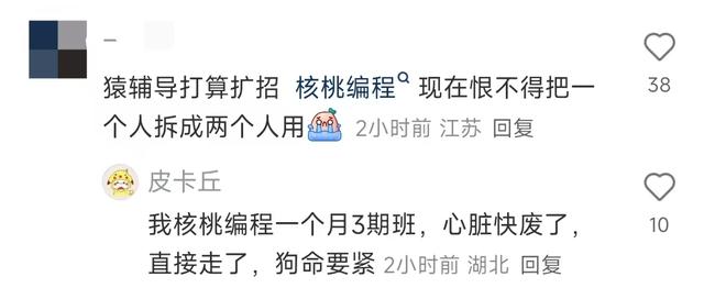 猿辅导员工猝死后续：24年毕业连续加班18天，知情人曝更多内情,猿辅导员工猝死后续：24年毕业连续加班18天，知情人曝更多内情,第16张