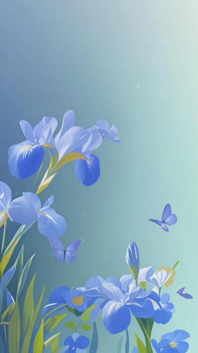 超美的手机高清全屏壁纸,超美的手机高清全屏壁纸,第14张