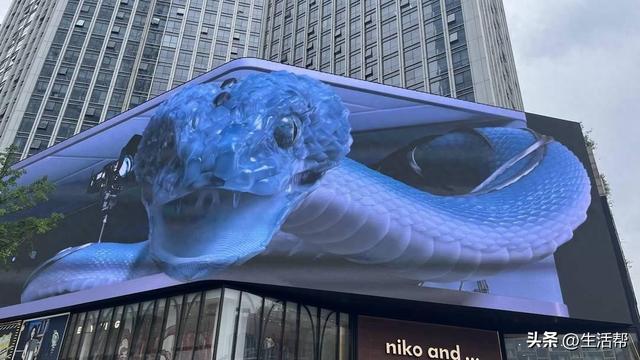 成都春熙路巨型3D仿生蛇广告引热议：科技感拉满！但恐蛇人士直呼不友好